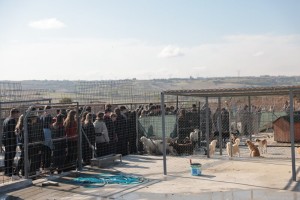 Öğrenciler Sokak Hayvanları Rehabilitasyon Merkezimizi Ziyaret Etti